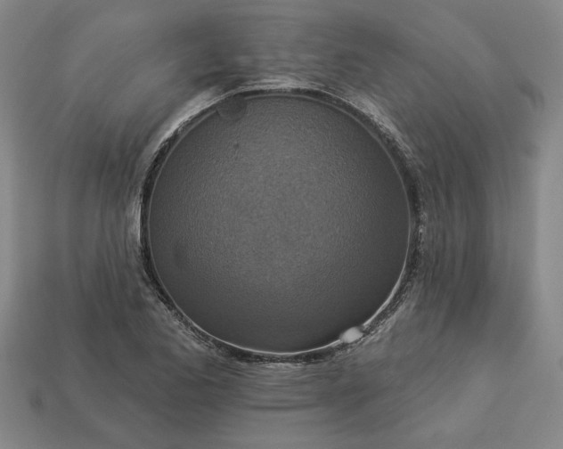 X0000113361173200909291024