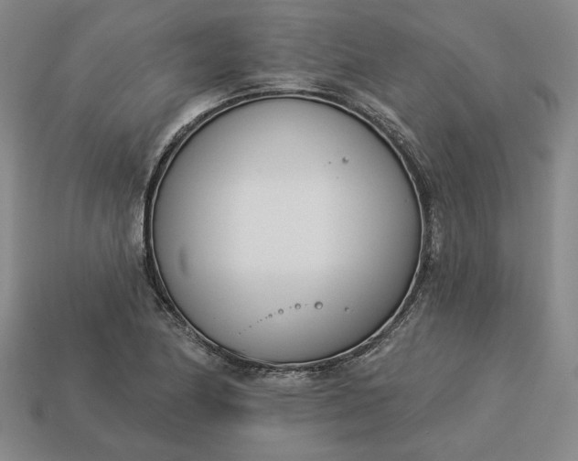 X0000113361174200909291024