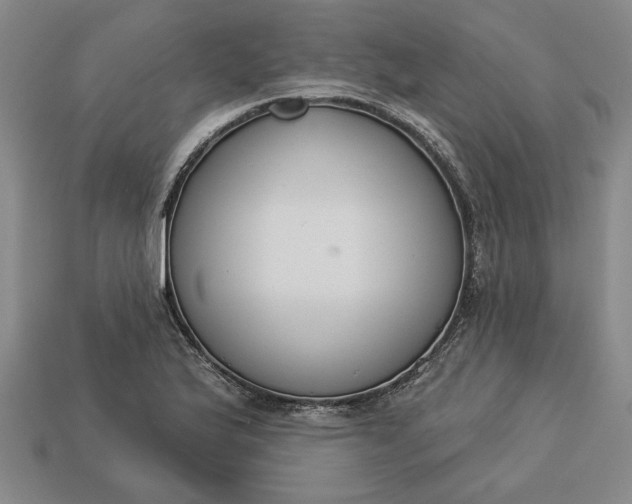 X0000113361175200909291024