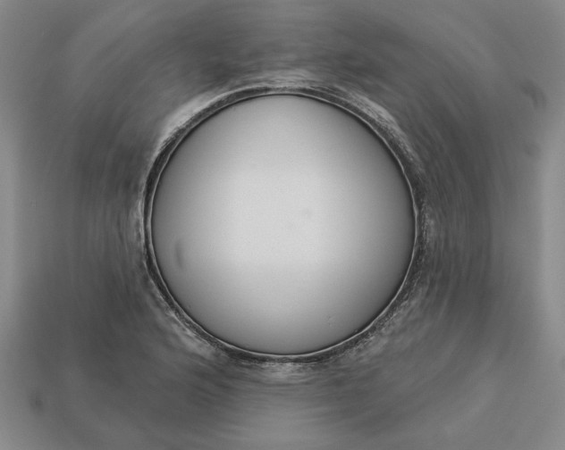 X0000113361176200909291024