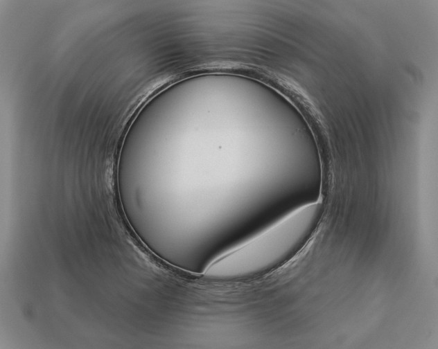 X0000113361177200909291024