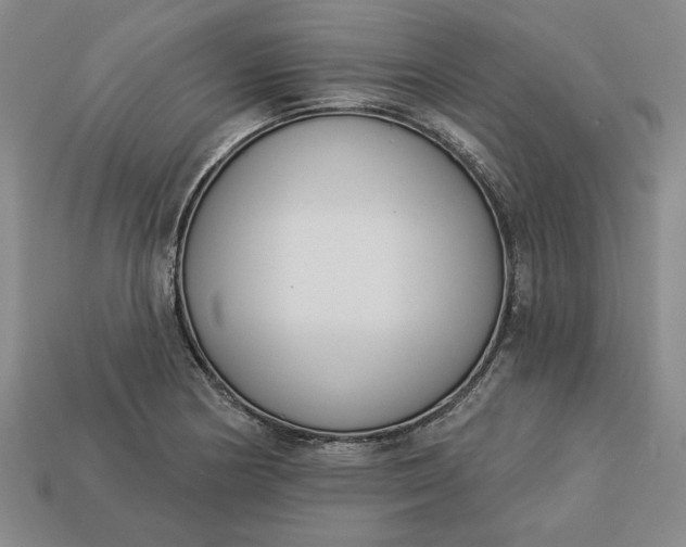 X0000113361178200909291024