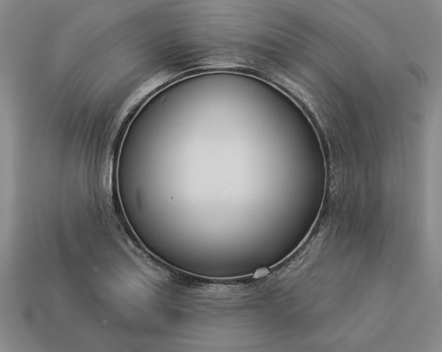 X0000113361179200909291024