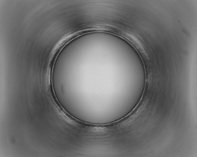 X0000113361180200909291024