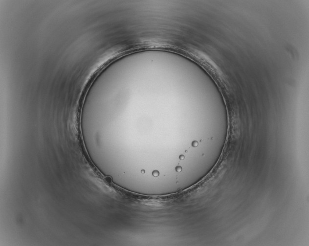 X0000113361182200909291024