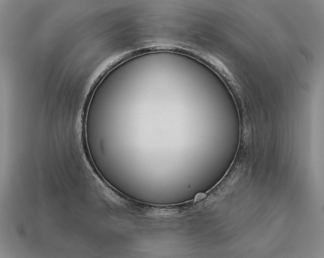 X0000113361183200909291024