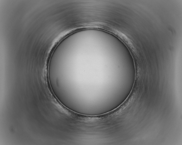 X0000113361184200909291024