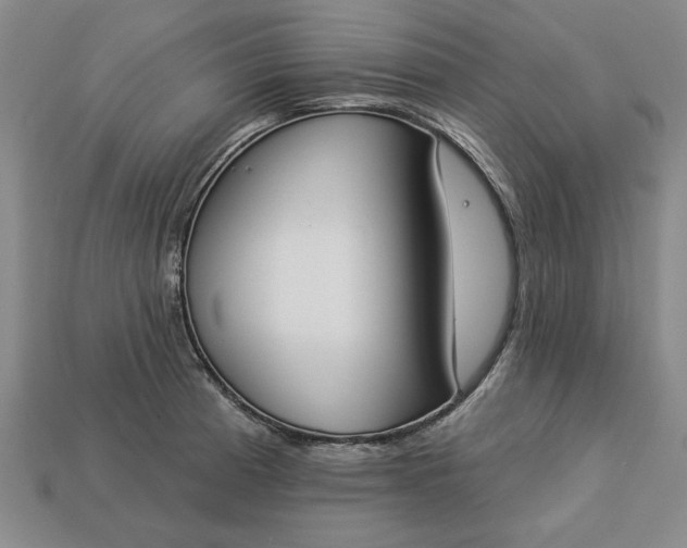 X0000113361185200909291024