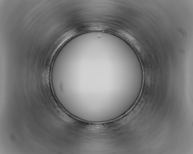 X0000113361186200909291024