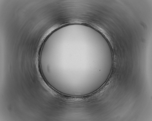 X0000113361187200909291024