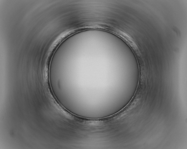 X0000113361188200909291024