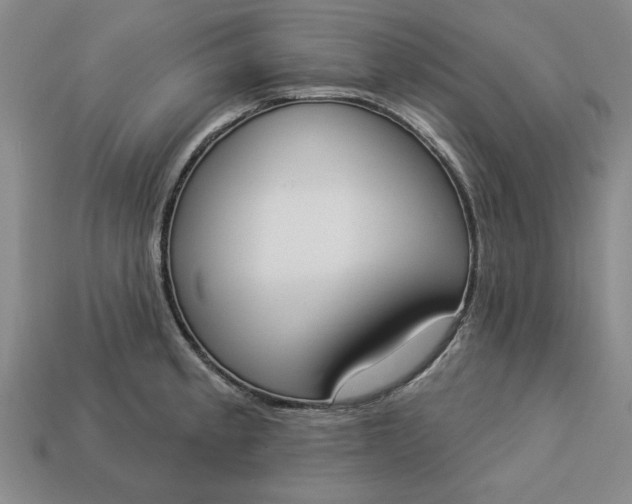 X0000113361189200909291024