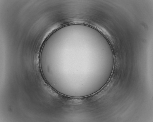 X0000113361190200909291024