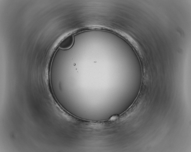 X0000113361191200909291024