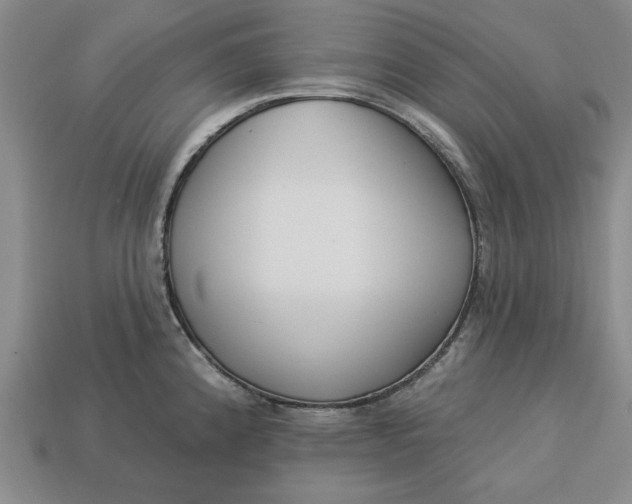 X0000113361192200909291024