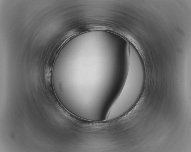 X0000113361193200909291024