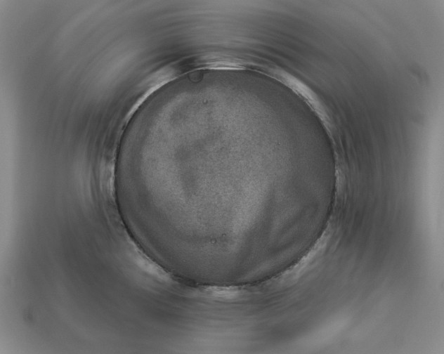 X0000113361194200909291024