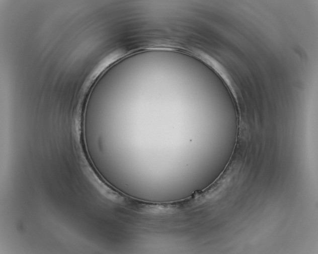 X0000113361195200909291024