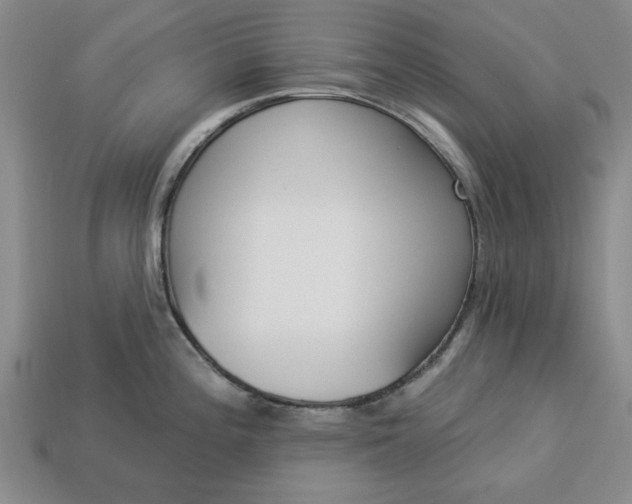 X0000113361196200909291024