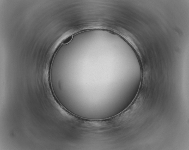 X0000113361197200909291024