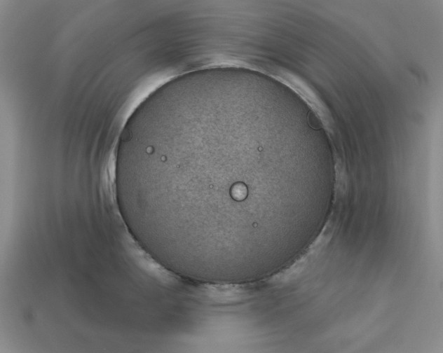 X0000113361198200909291024