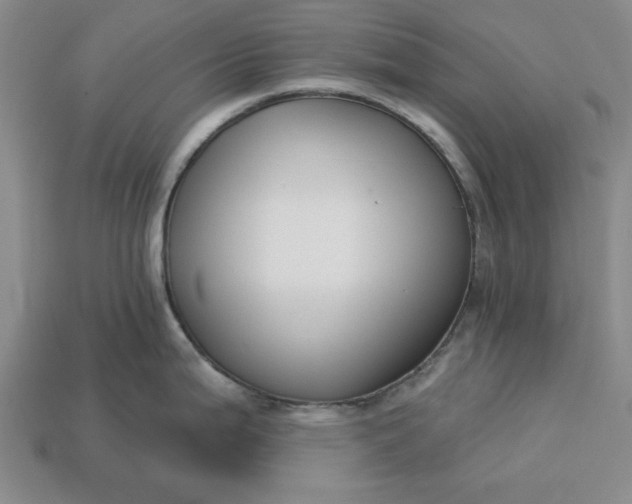 X0000113361199200909291024