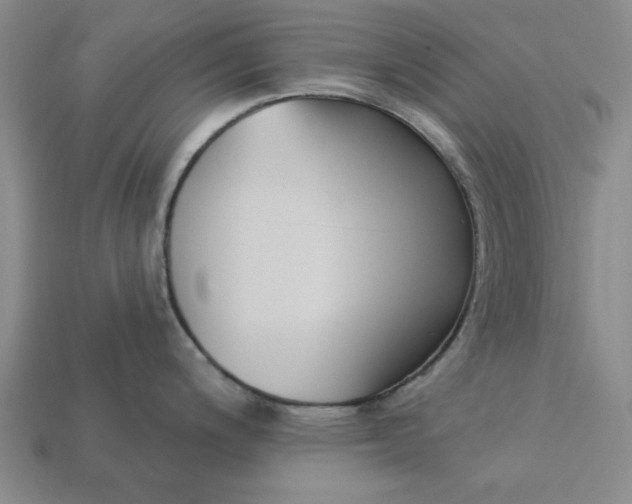 X0000113361200200909291024