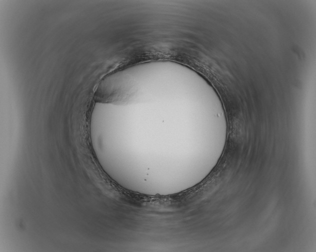 X0000113361201200909291023