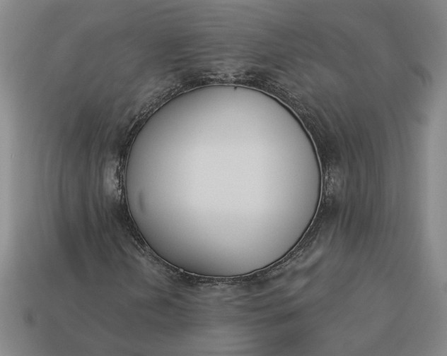 X0000113361202200909291023