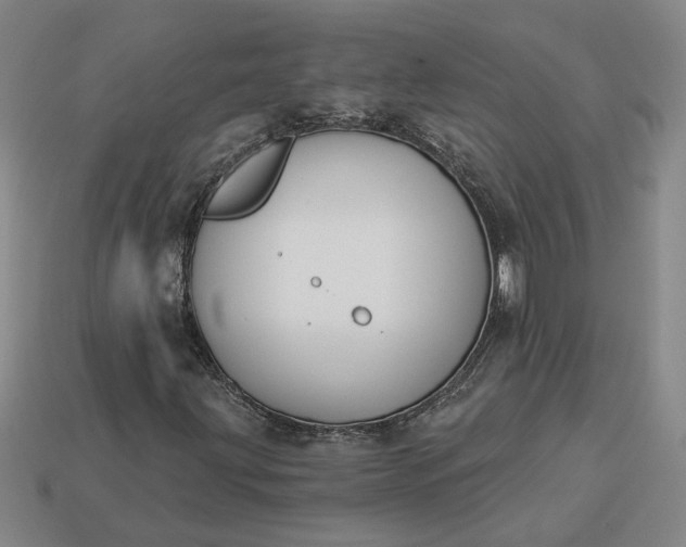 X0000113361203200909291023