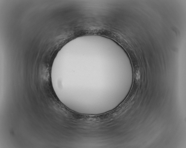 X0000113361204200909291023