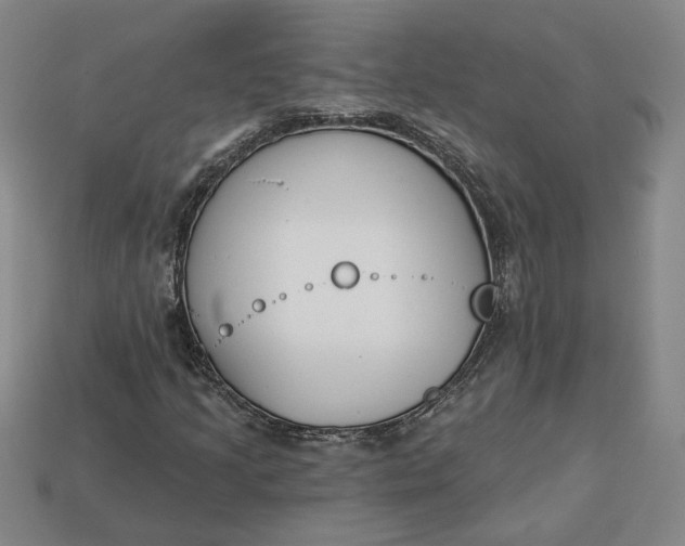 X0000113361205200909291023