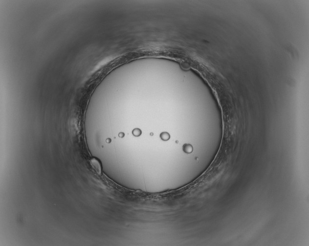 X0000113361206200909291023