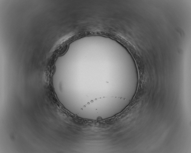 X0000113361207200909291023