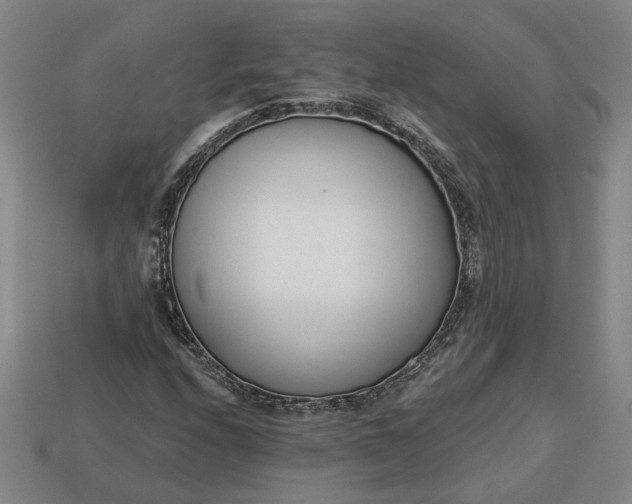 X0000113361208200909291023