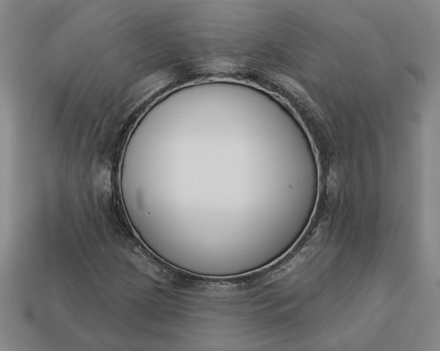 X0000113361209200909291023