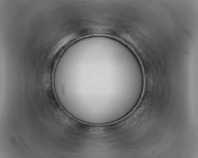 X0000113361211200909291023