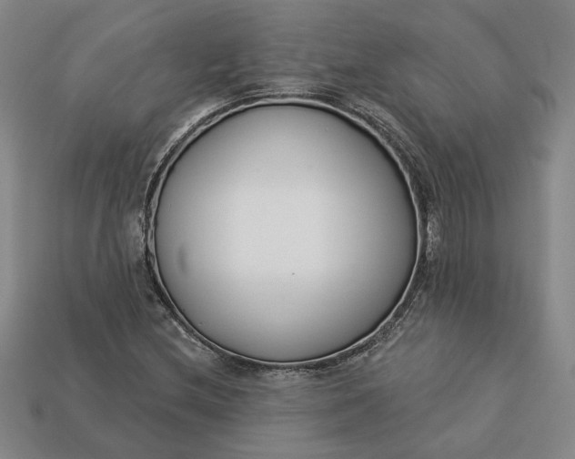 X0000113361212200909291023