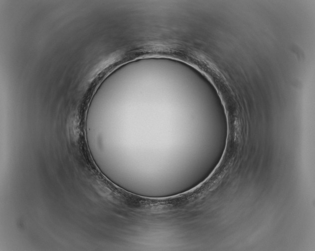 X0000113361213200909291023