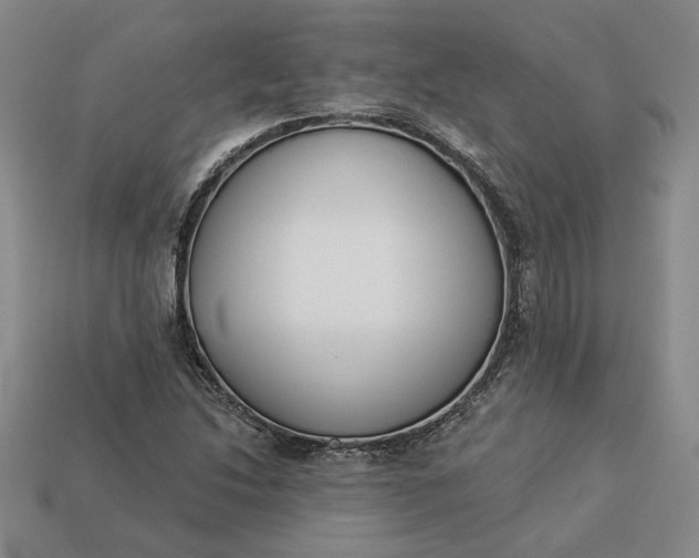 X0000113361214200909291023