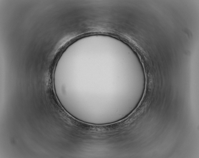 X0000113361215200909291023