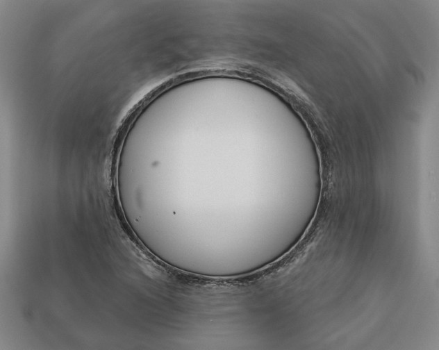 X0000113361216200909291023