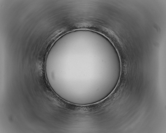 X0000113361217200909291023