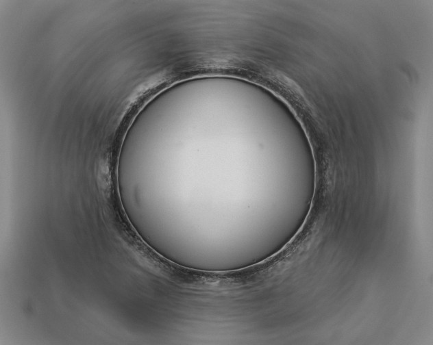 X0000113361218200909291023