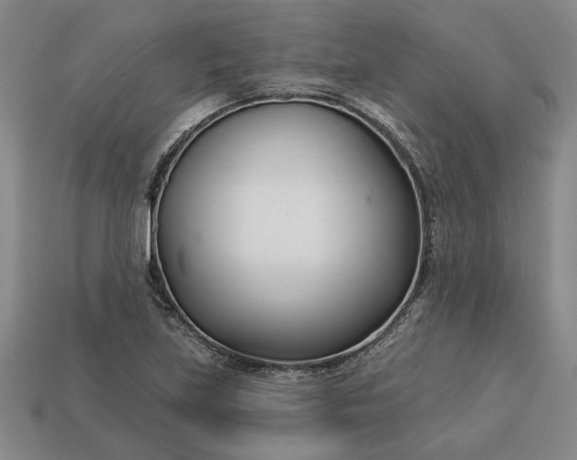 X0000113361219200909291023