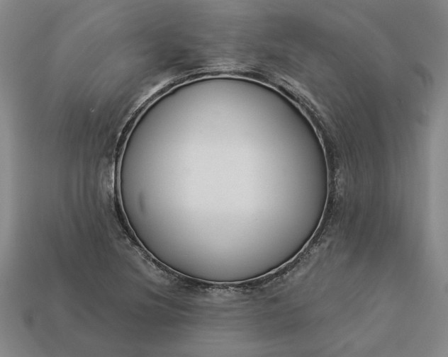 X0000113361220200909291023