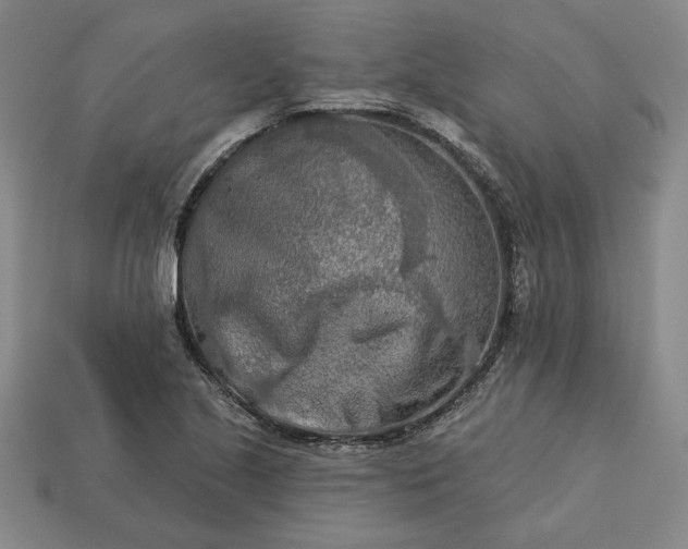 X0000113361221200909291023