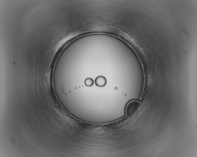 X0000113361222200909291023