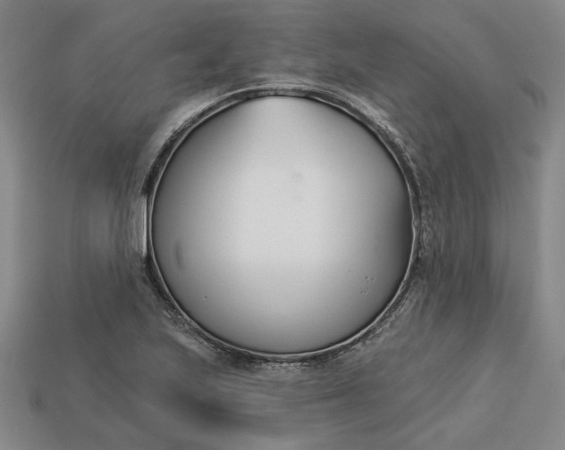 X0000113361223200909291023