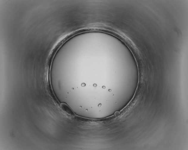 X0000113361224200909291023